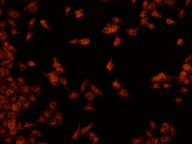 圖片5.jpg 圖片5.jpg